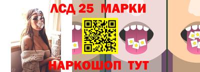 гашик Бердск