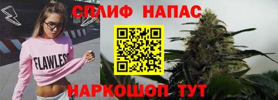 гашик Бердск