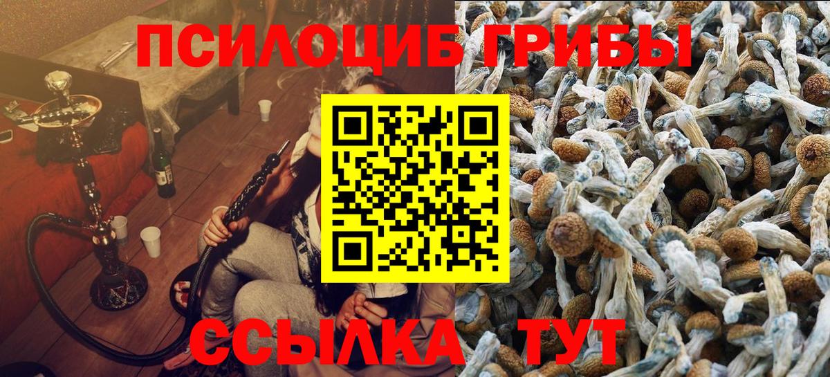 Белореченск  Псилоцибиновые грибы Psilocybine cubensis  Псилоцибиновые грибы ЛСД  Вход с VPN 